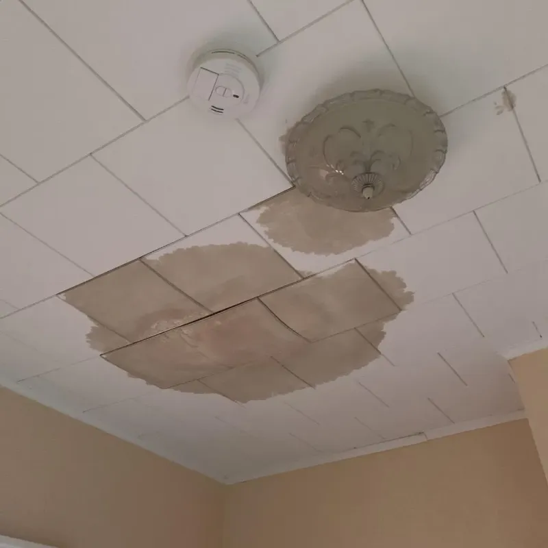 Ceiling Water Damage Repair in Jackson, TN