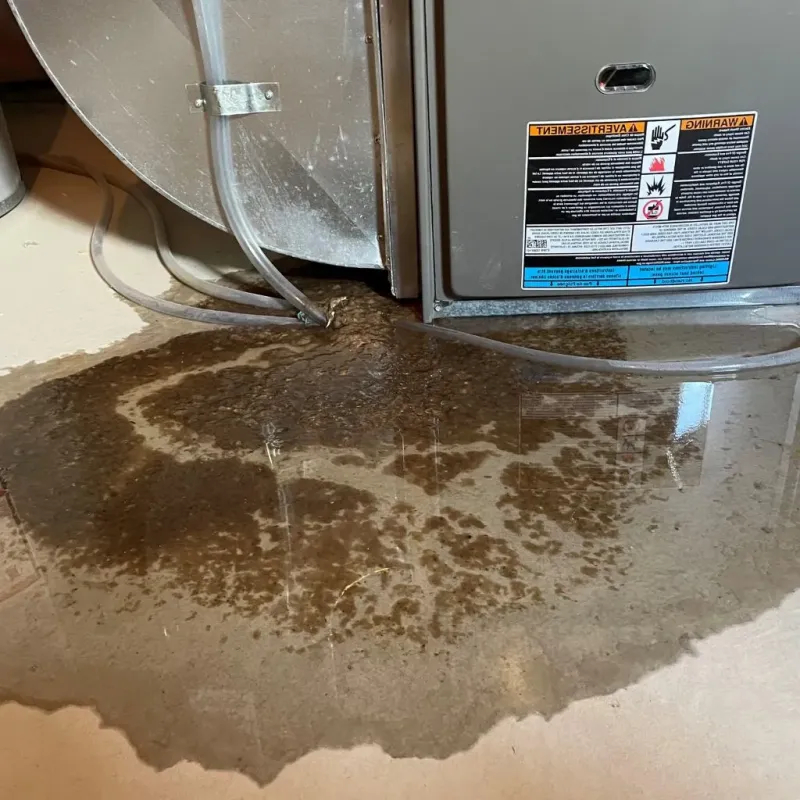 Pipe Burst and Leak Restoration in Jackson, TN