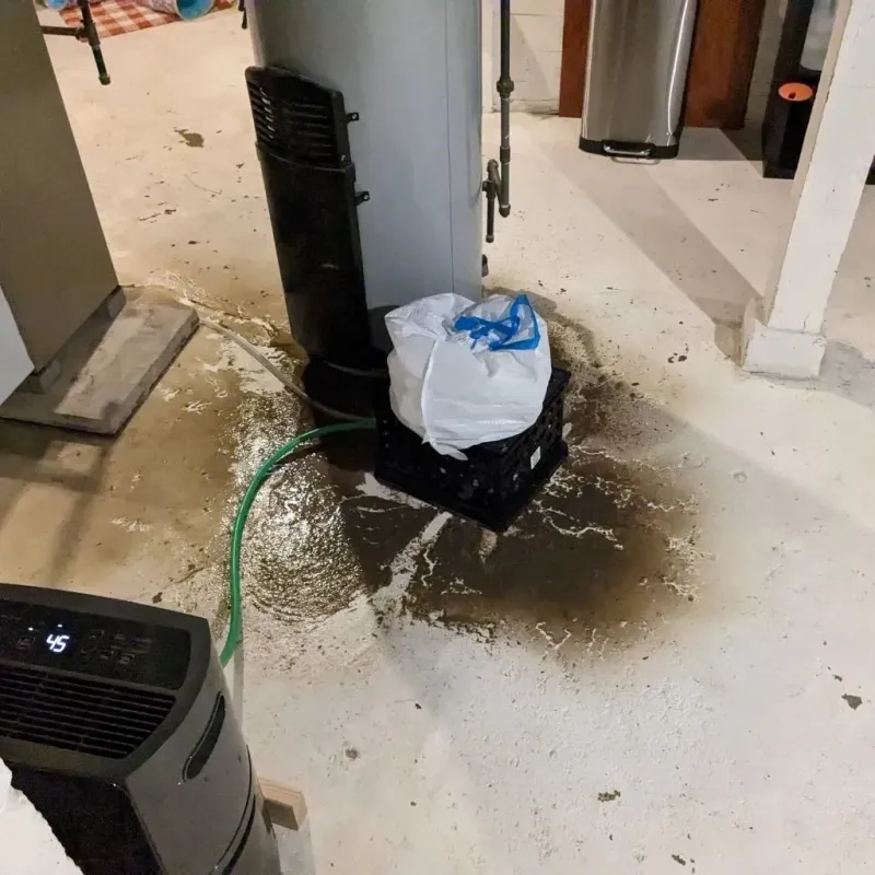 Sewage Backup Cleanup Service in Jackson, TN